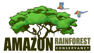 amazon rainforest charities|Amazon Conservation .